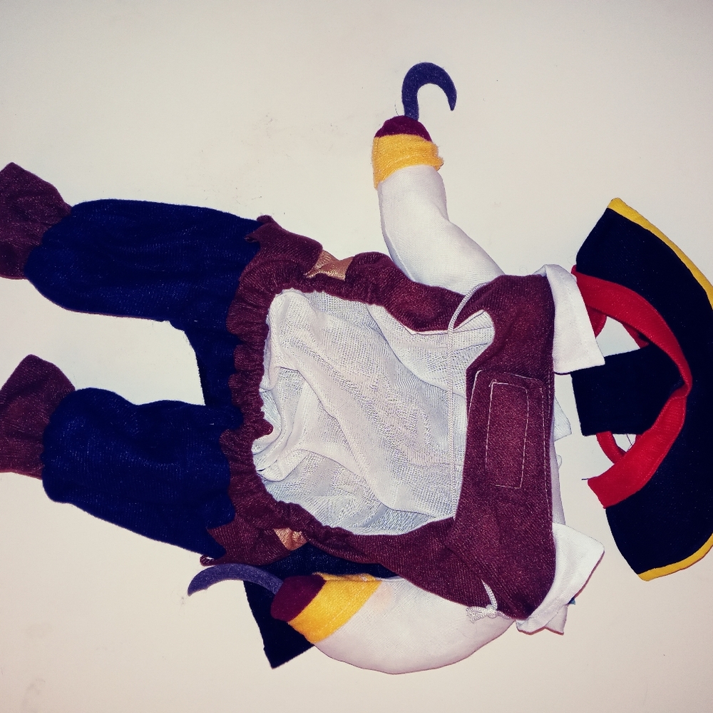 Doggie pirate costume